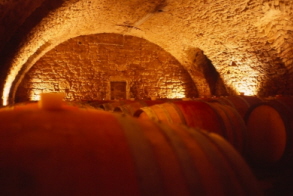 
				Weinkeller Reichsrat von Buhl in Deidesheim am 13-11-2004 
							